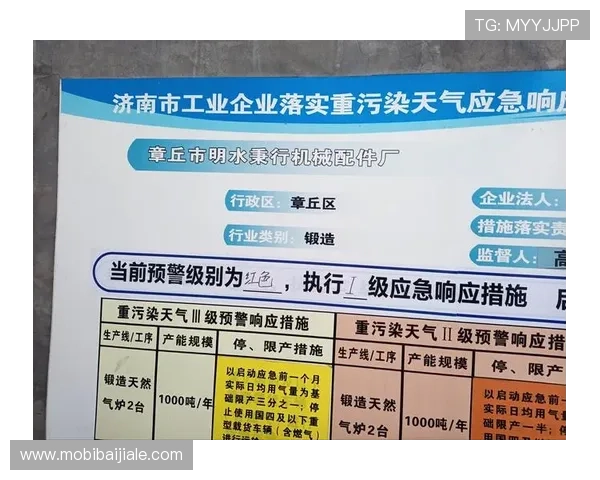 博鱼真人平台登录入口稳定性提升及安全保障措施全面分析