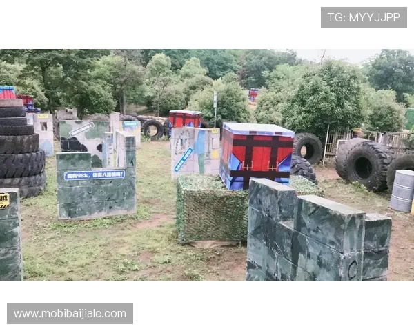 火博体育真人带来沉浸式的体育娱乐体验，提供安全可靠的真人投注环境和多样的赛事选择