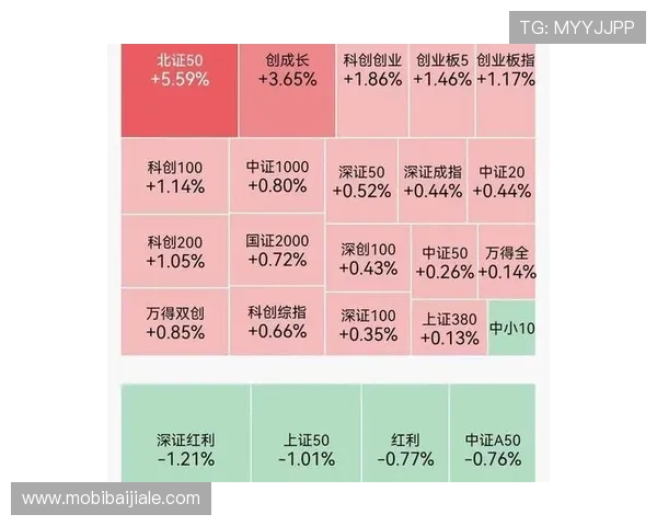 如何运用百家乐注码法实现稳健盈利，专家推荐的实战经验与操作策略
