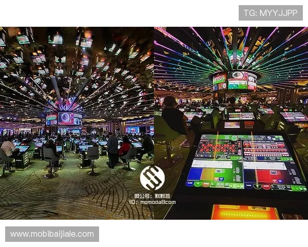 马来西亚云顶拥有多少个赌场以及每个赌场的规模和服务内容