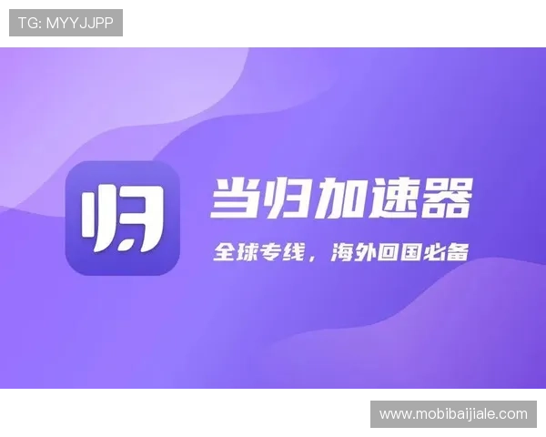 真人在线登录大全网站全攻略，助力玩家快速解决登录难题，提供安全稳定的登录体验和详细操作指南
