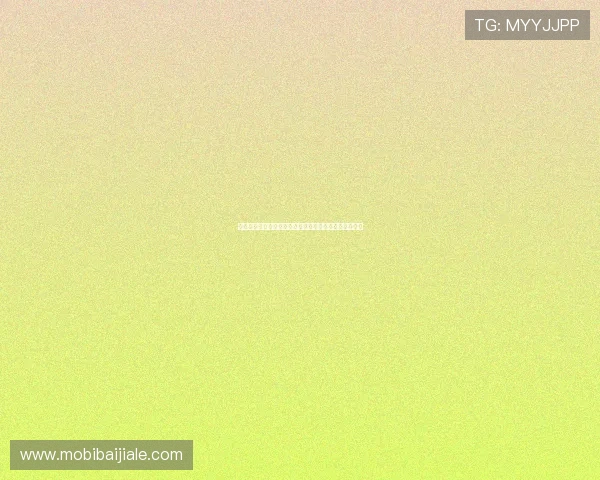 加拿大队在世界杯中的战术布局与波黑队的应对策略详解