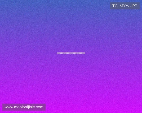 巴拉圭队在世界杯中的战术亮点与核心球员的突出贡献 巴拉圭队在世界杯中的战术亮点与核心球员的突出贡献